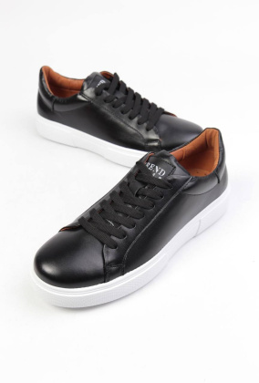 Кеды кожаные Benito BE0555 new- фото 1 - интернет-магазин обуви Pratik