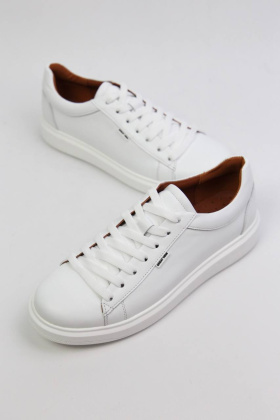 Кеды кожаные Benito 2111/06/07 new- фото 1 - интернет-магазин обуви Pratik